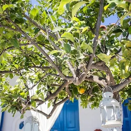 Lemonia House Appartamento Vívlos
