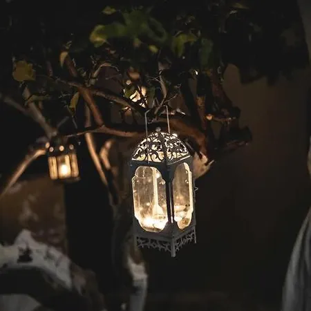 Appartement Lemonia House *